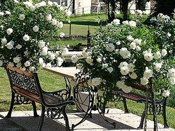 Hotel La Chaum'Yerres Chaumes-en-Brie Exterior foto